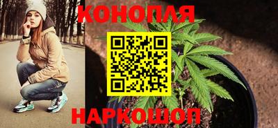 шишки Жуковский