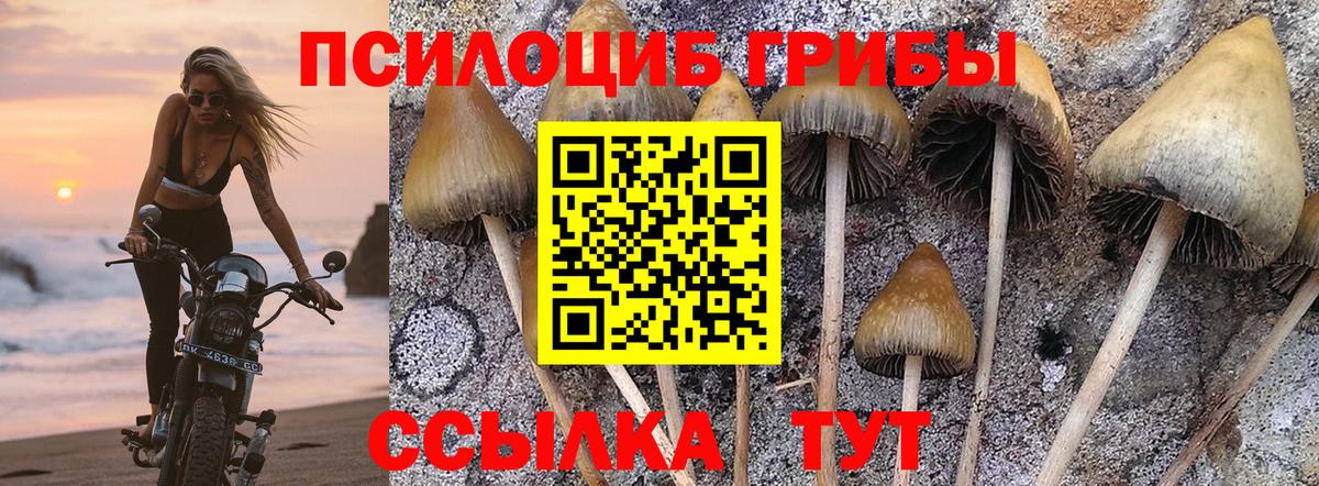 Псилоцибиновые грибы Magic Shrooms Кизилюрт